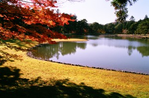 毛越寺　浄土庭園