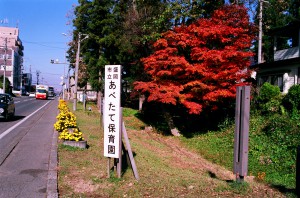 厨川柵跡の紅葉